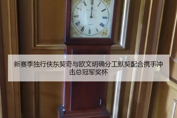 新赛季独行侠东契奇与欧文明确分工默契配合携手冲击总冠军奖杯