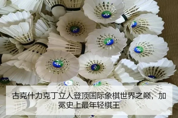gu-ke-shen-li-ke-ding-li-ren-deng-ding-guo-ji-xiang-qi-shi-jie-zhi-dian-jia-mian-shi-shang-zui-nian-qing-qi-wang-3-264.jpg